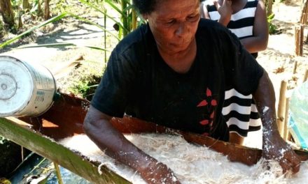Bahan Pangan Sagu Yang Sangat Tradisional Masih Ada Saat Ini