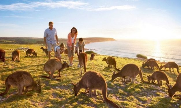 Negara Julukan Kanguru Australia Dengan Keunikannya