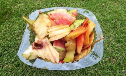 Makanan Buah Rujak Yang Sudah Terkenal Di Asia