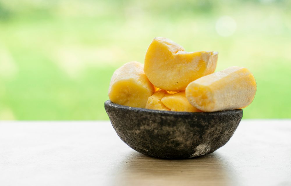 Makanan Fermentasi Singkong Menjadi Sebuah Tape