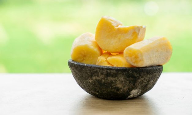 Makanan Fermentasi Singkong Menjadi Sebuah Tape