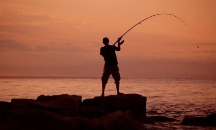 Kegiatan Santai Mancing Menangkap Ikan Dengan Joran