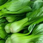 Tumbuhan Sayur Hijau Pakcoy Dengan Berbagai Olahan