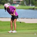 Olahraga Pukulan Golf Ke Lubang Dengan Stik