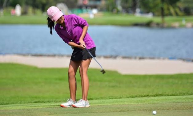 Olahraga Pukulan Golf Ke Lubang Dengan Stik