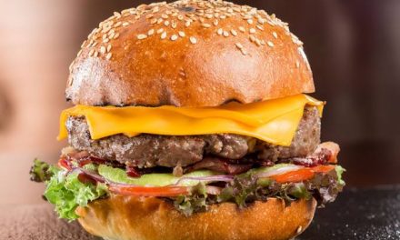 Sebuah Makanan Burger Yang Sangat Populer